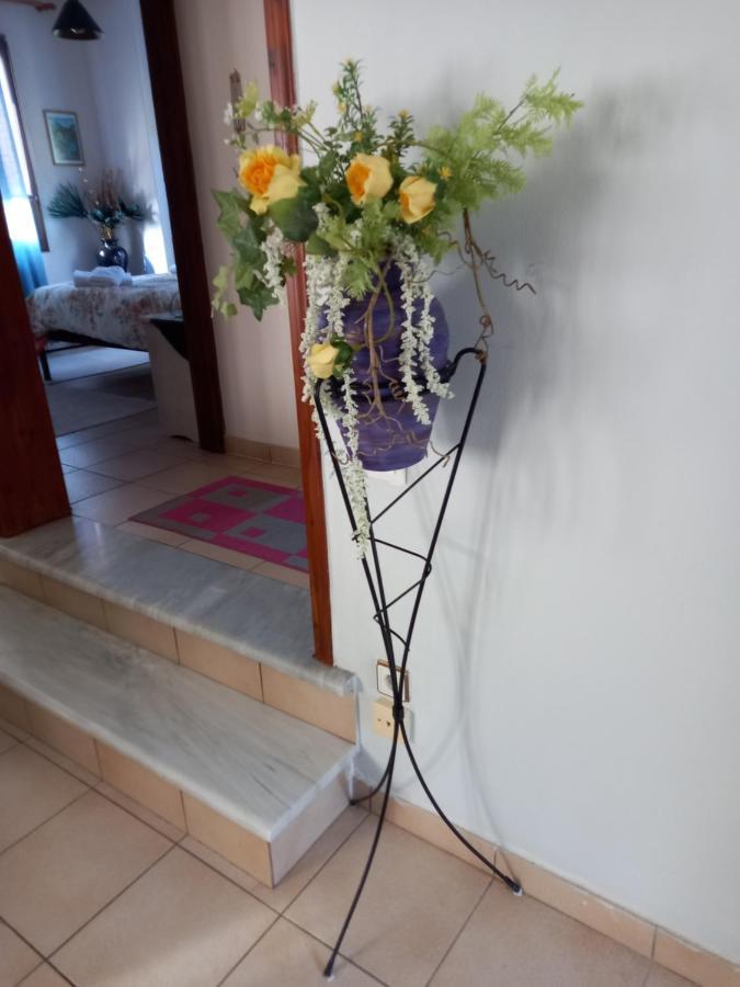 House With Dreamy View Volos Αγριά Εξωτερικό φωτογραφία